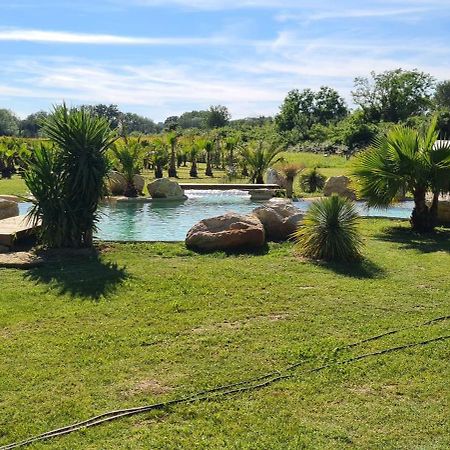 Le Mas Des Cerisiers Jacuzzi Et Sauna Inclus Pour Tous Les Logements Avignon Ngoại thất bức ảnh
