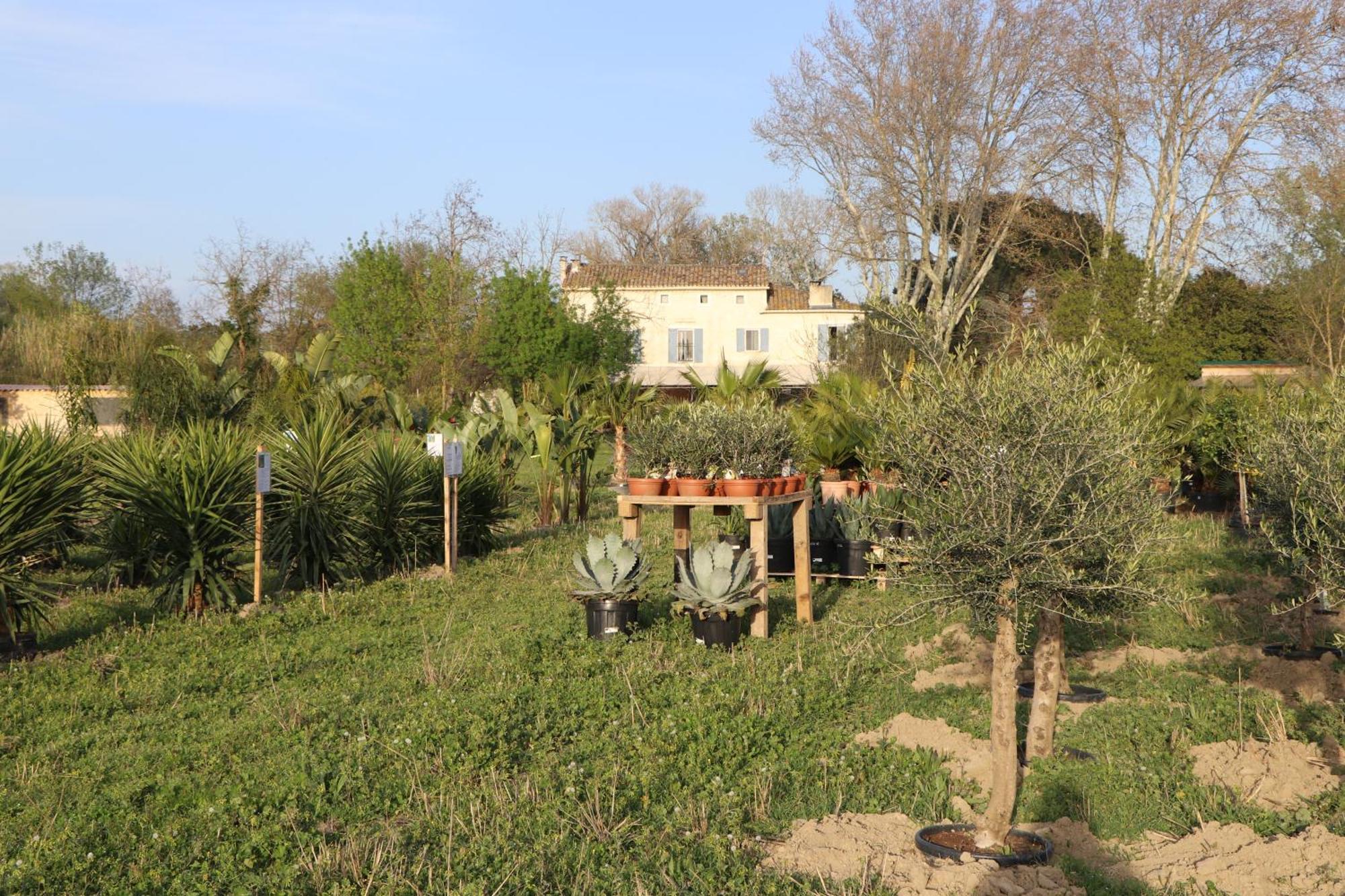 Le Mas Des Cerisiers Jacuzzi Et Sauna Inclus Pour Tous Les Logements Avignon Ngoại thất bức ảnh